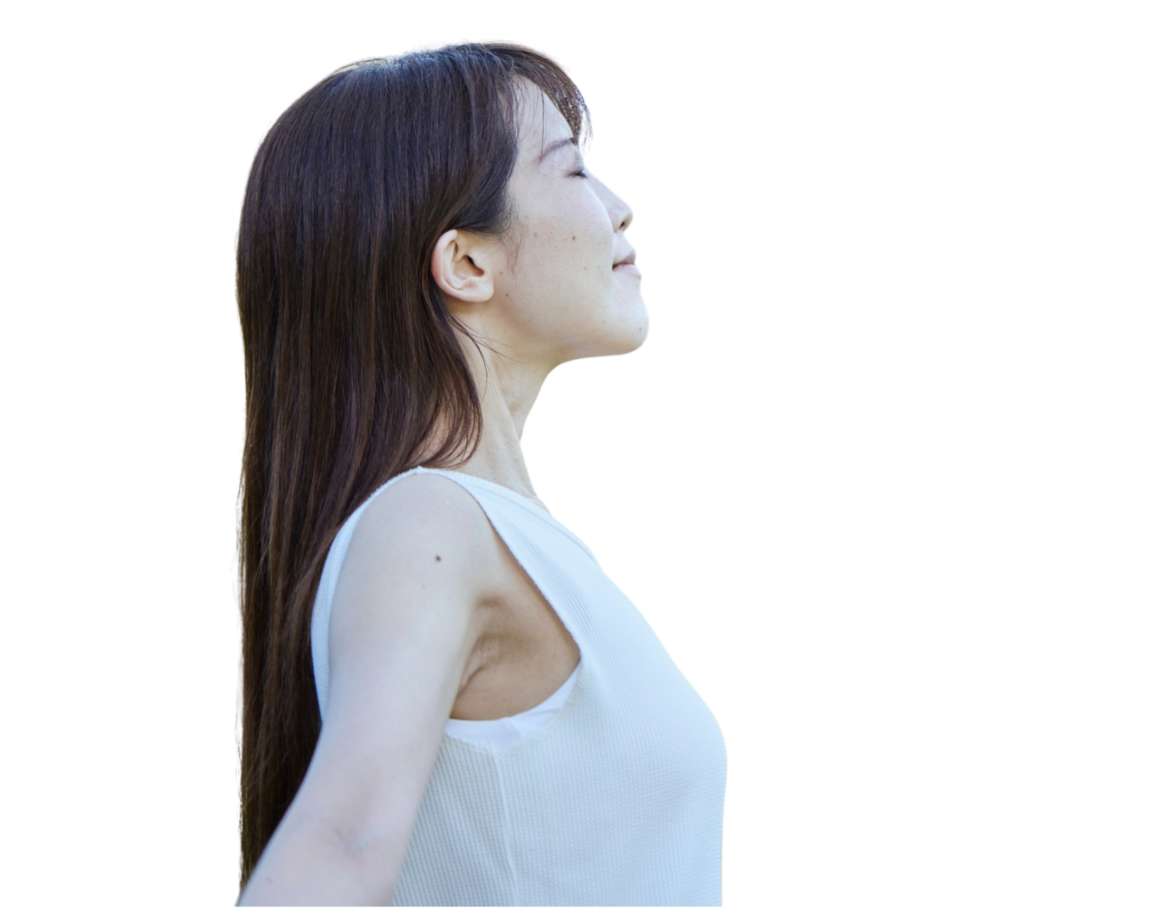 呼吸機能のイメージ