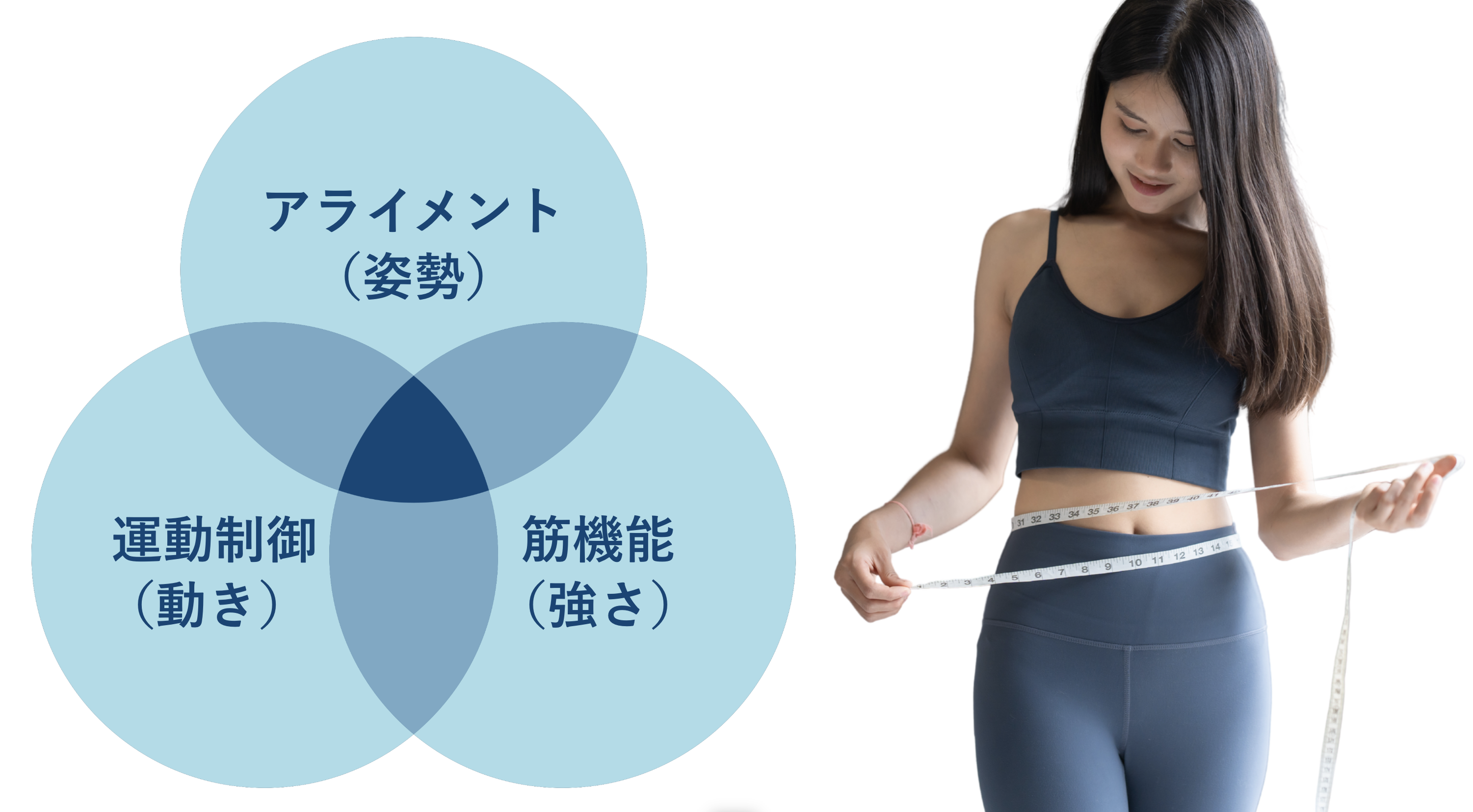 骨格模型 - 骨格アライメント評価