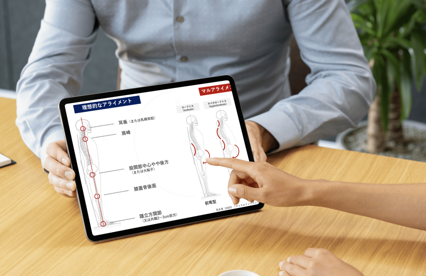 アライメント評価